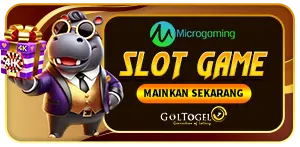 MICROGAMING