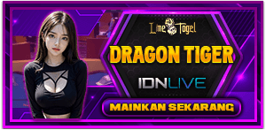 DRAGONTIGER