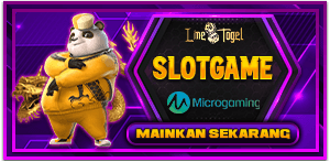 MICROGAMING