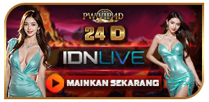 24D