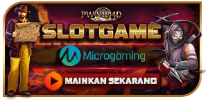 MICROGAMING